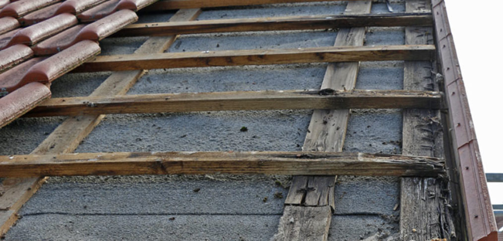 Undichtes Dach: Dachlatten und Konterlatten durch Fäulnis geschädigt